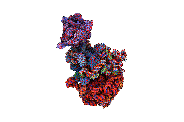 6ZTP image