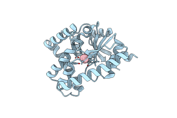 6ZTU image
