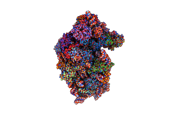 6ZUO image