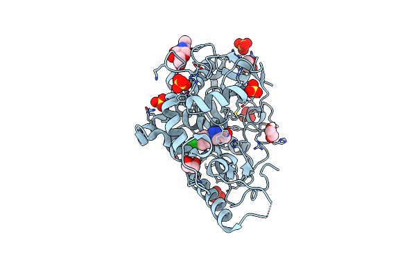 6ZUV image