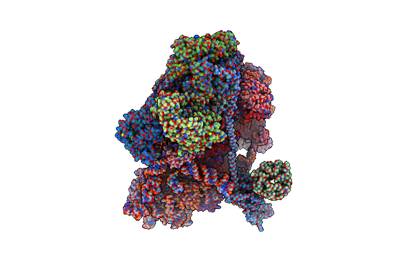 6ZVJ image