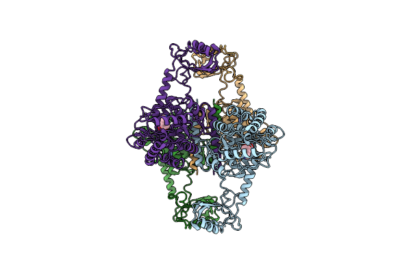 6ZVP image