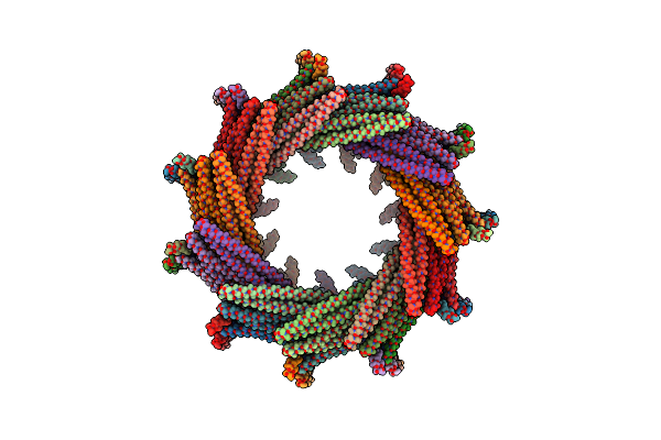 6ZVR image
