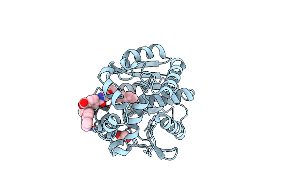 6ZVU image