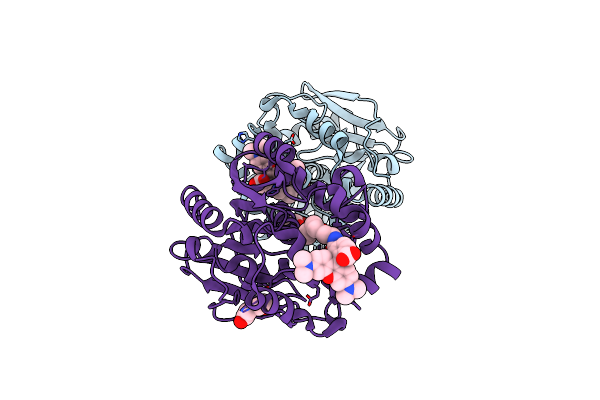 6ZVW image