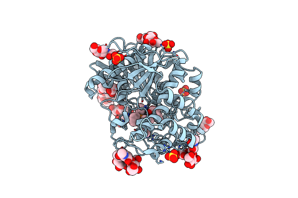 6ZWI image