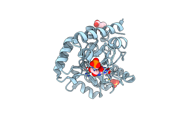 6ZX2 image