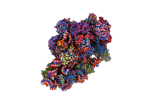 6ZXE image