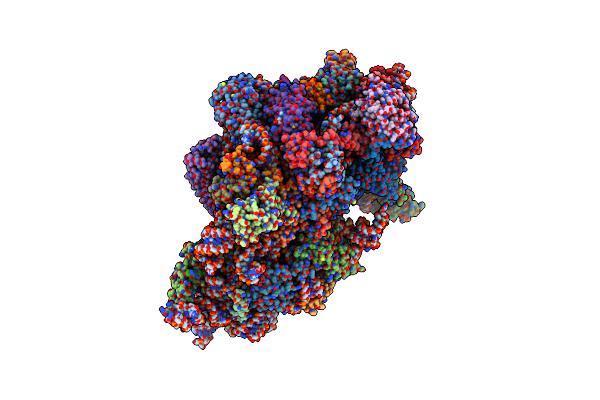 6ZXF image