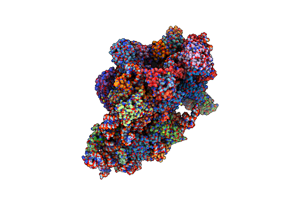 6ZXG image