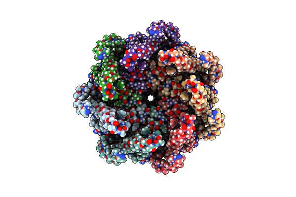 6ZYD image