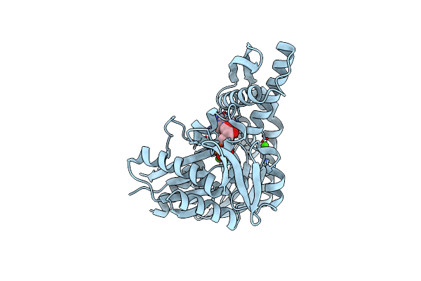 6ZYI image