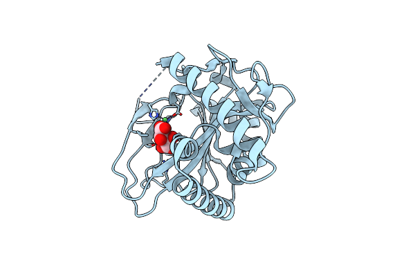 6ZYK image