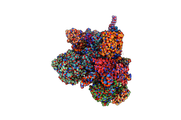 6ZYM image