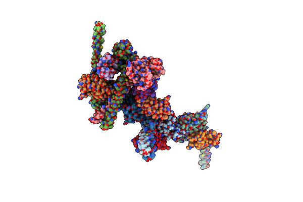6ZZ8 image