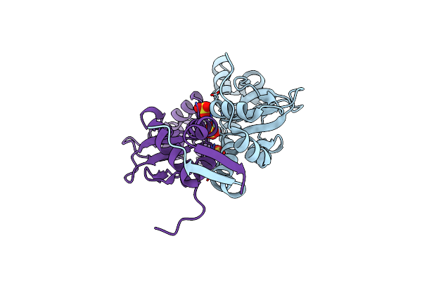 6ZZ9 image