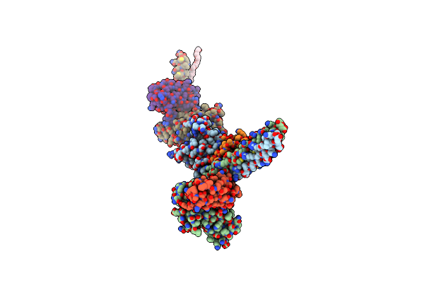 6ZZC image