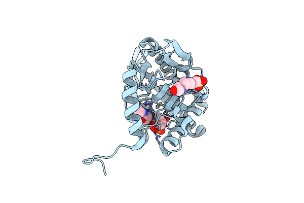 6ZZJ image