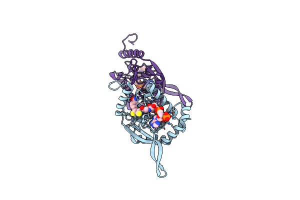 6ZZK image