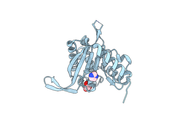 6ZZN image