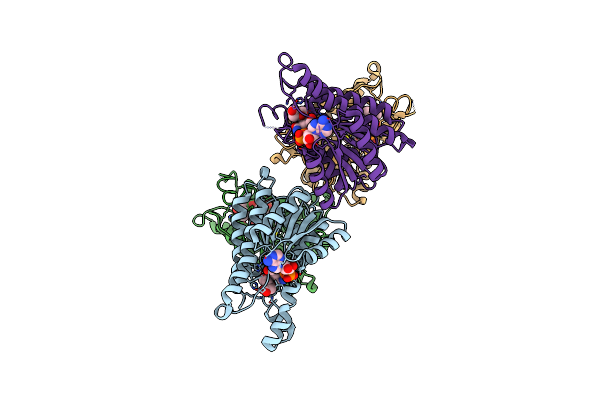 6ZZP image