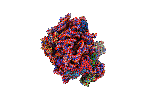 7A0R image