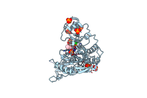 7A12 image