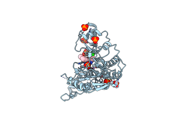 7A13 image