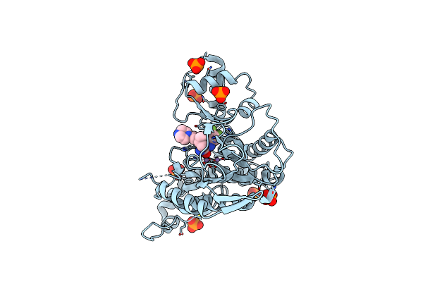7A16 image