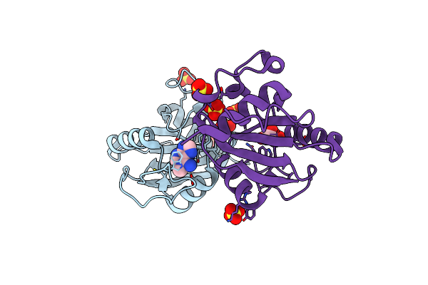 7A1V image