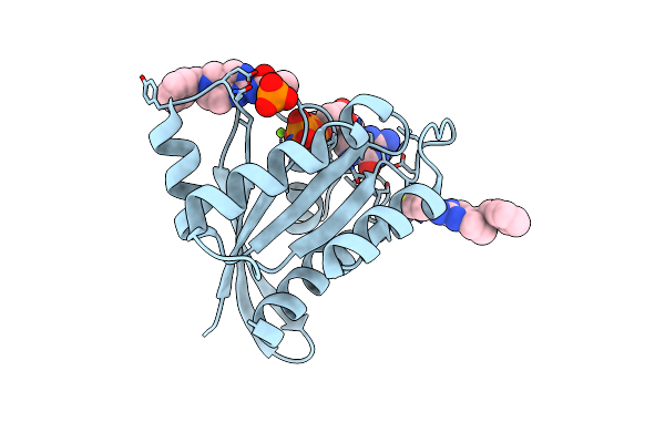 7A1W image