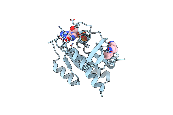 7A1X image
