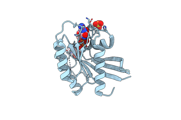 7A1Y image