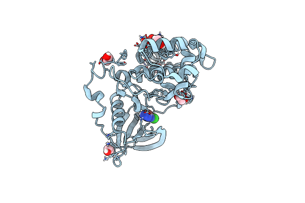 7A1Z image
