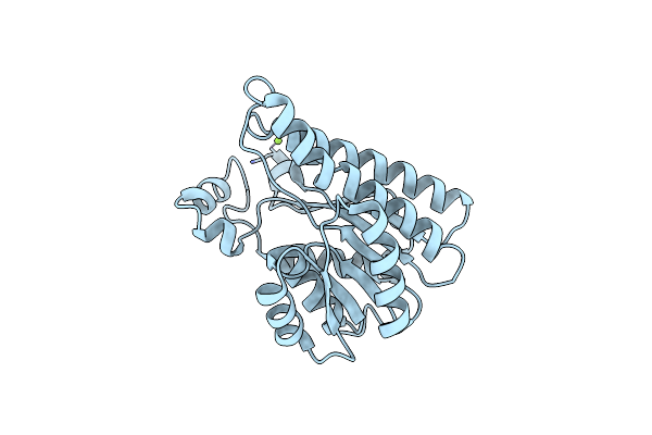 7A2B image