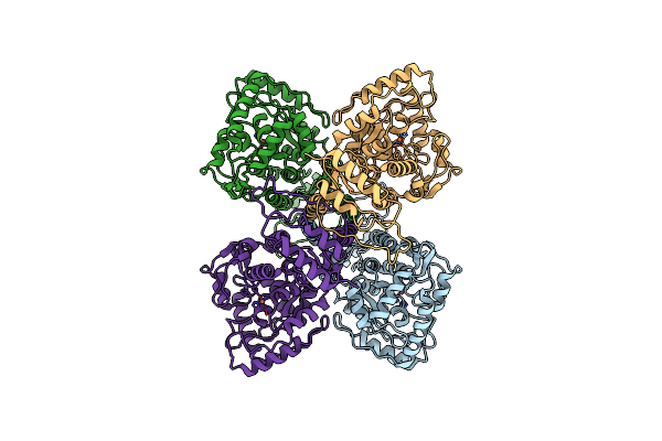 7A2G image
