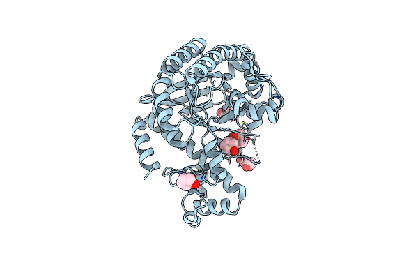 7A3X image
