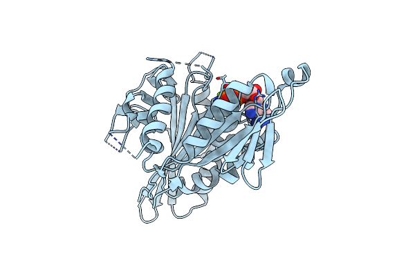 7A3Z image