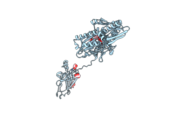 7A4U image