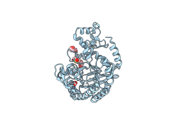 7A4X image
