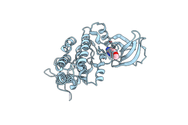 7A4Z image