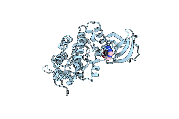 7A51 image