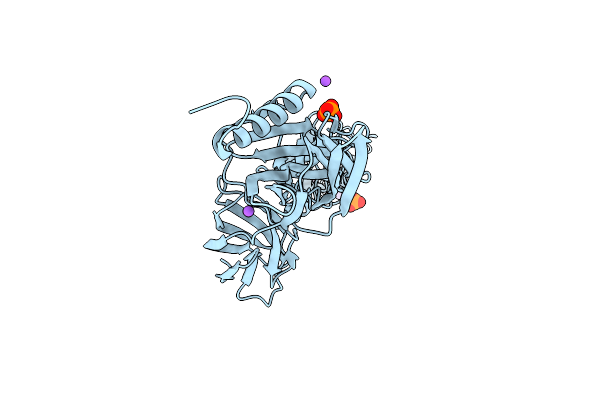 7A56 image
