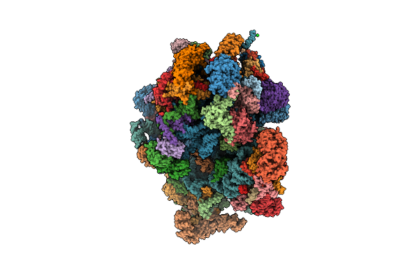 7A5I image