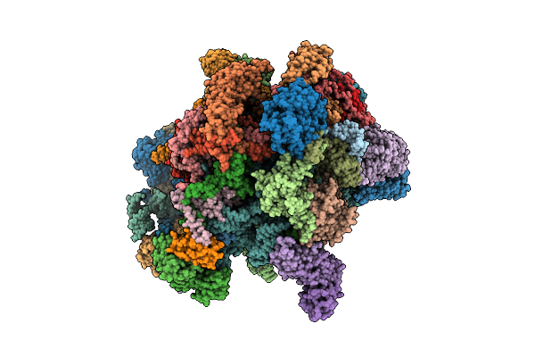 7A5J image