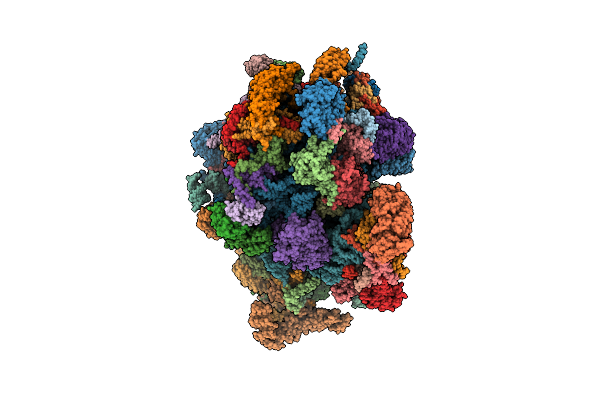 7A5K image