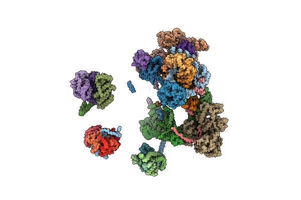 7A5P image