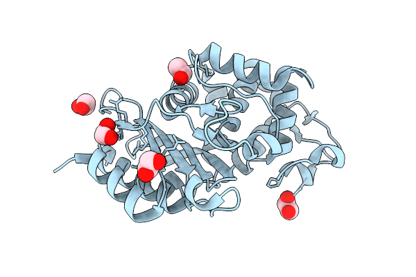 7A5W image