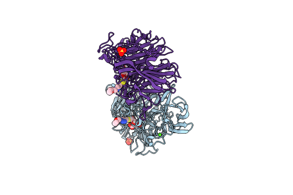 7A5X image