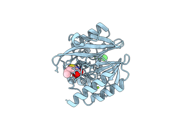 7A5Z image